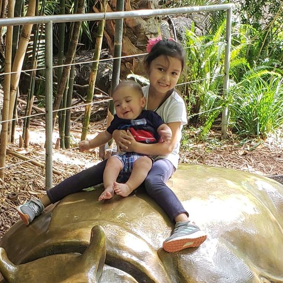 Meet your Posher, Sylvia - Picture 1 of 1